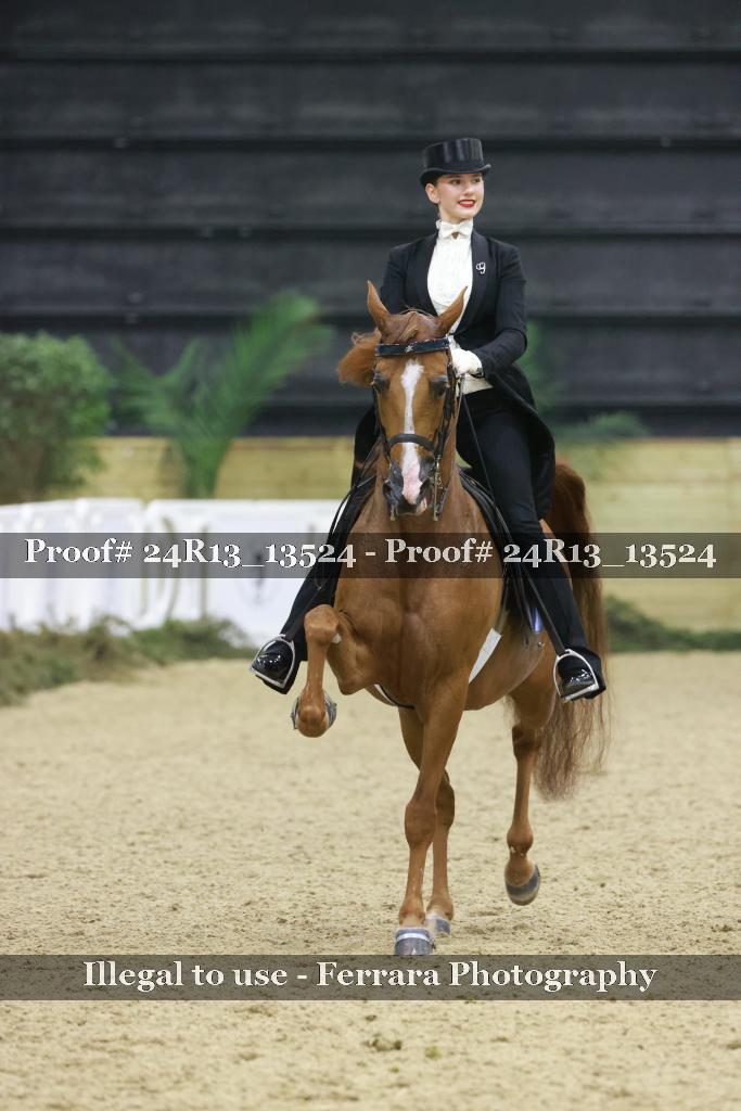 Proof Number 24R13_13524