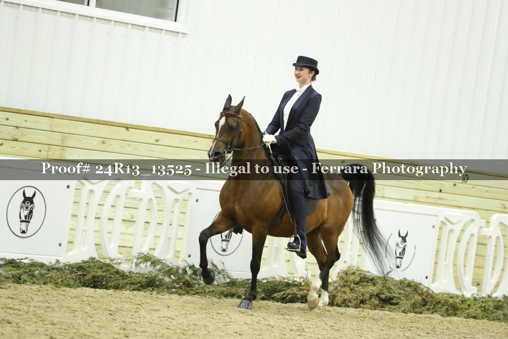 Proof Number 24R13_13525