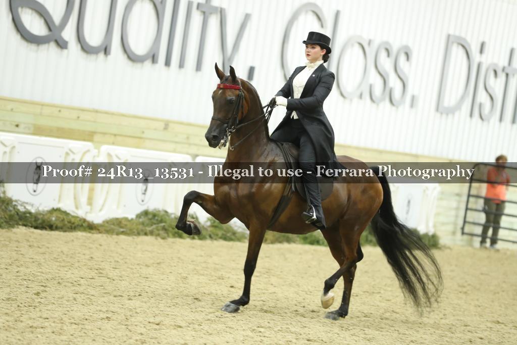 Proof Number 24R13_13531