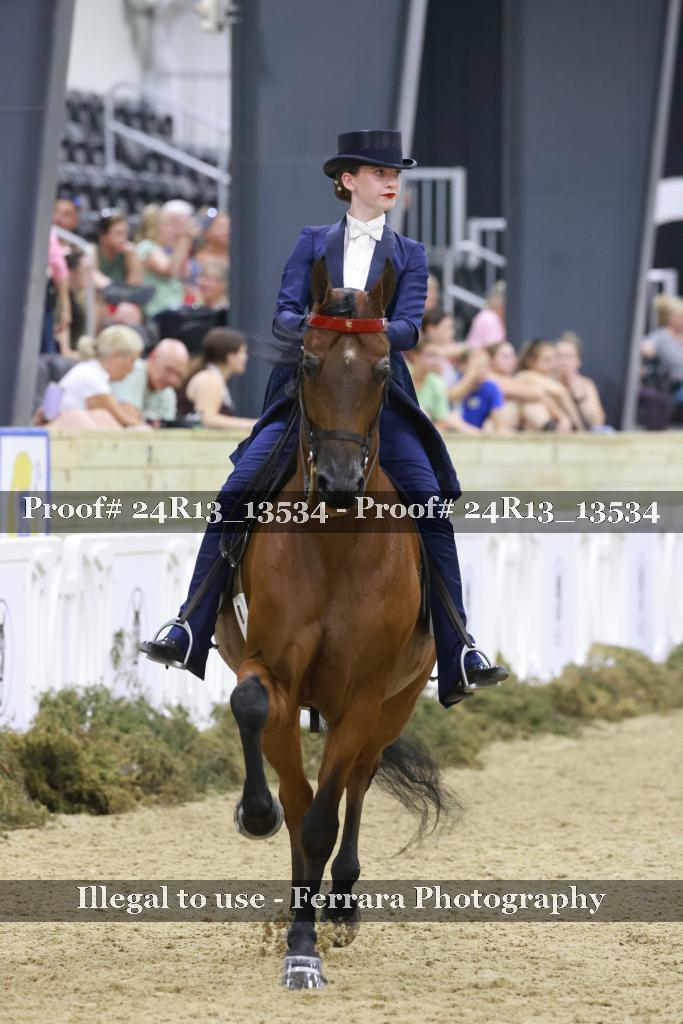 Proof Number 24R13_13534