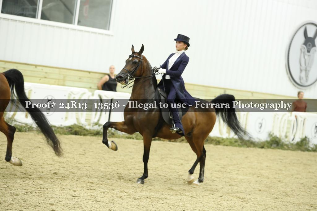 Proof Number 24R13_13536