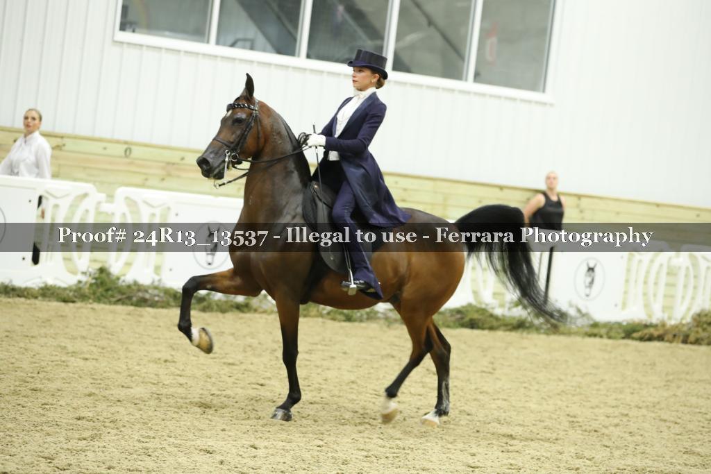 Proof Number 24R13_13537