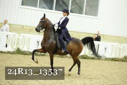 24R13_13537 thumbnail