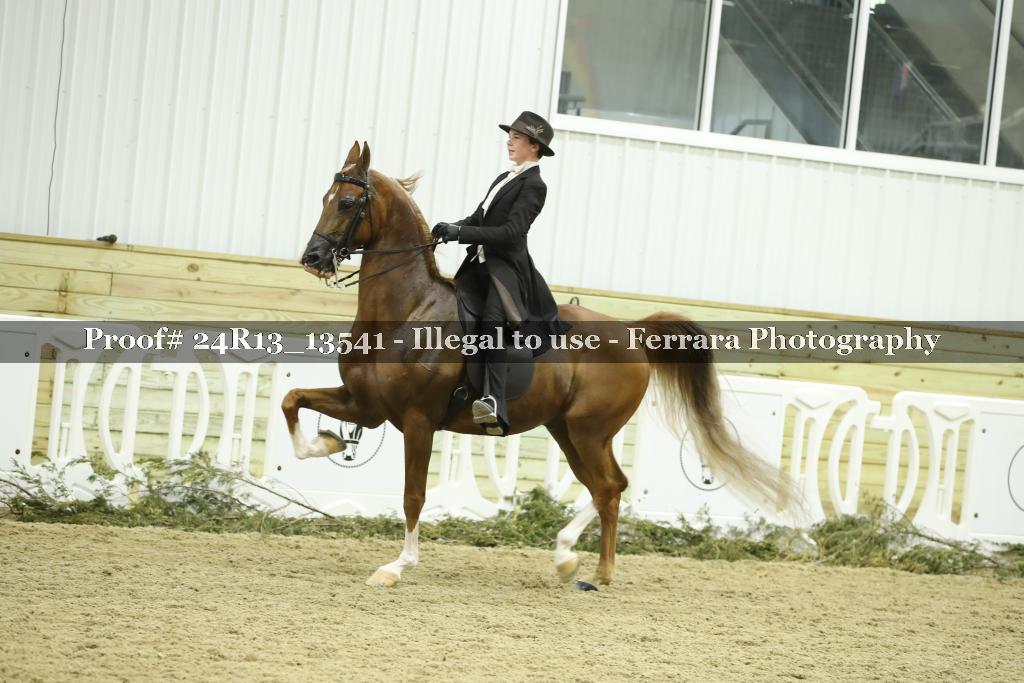 Proof Number 24R13_13541