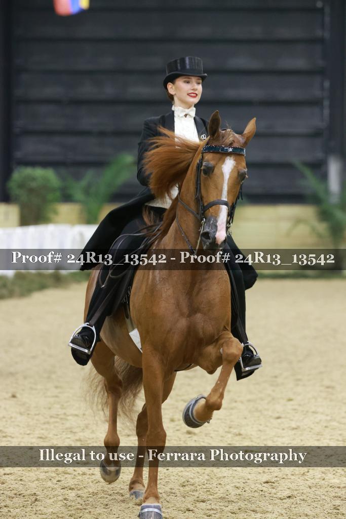 Proof Number 24R13_13542