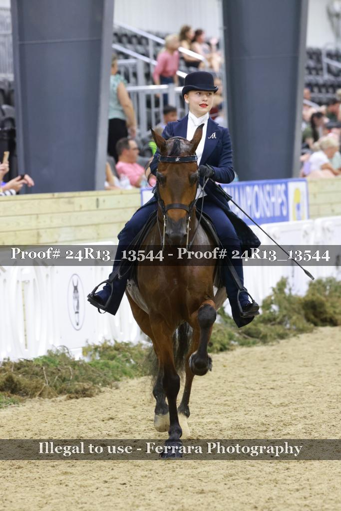 Proof Number 24R13_13544