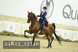 24R13_13546 thumbnail