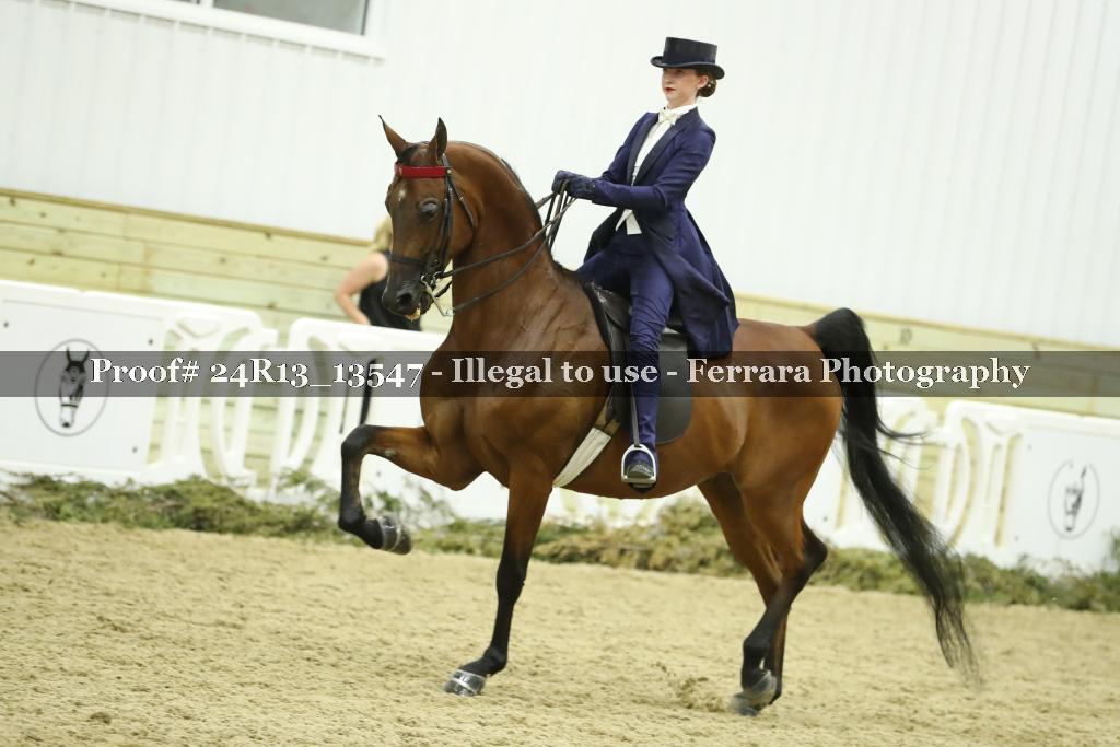 Proof Number 24R13_13547