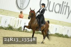 24R13_13548 thumbnail
