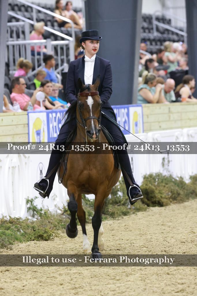 Proof Number 24R13_13553