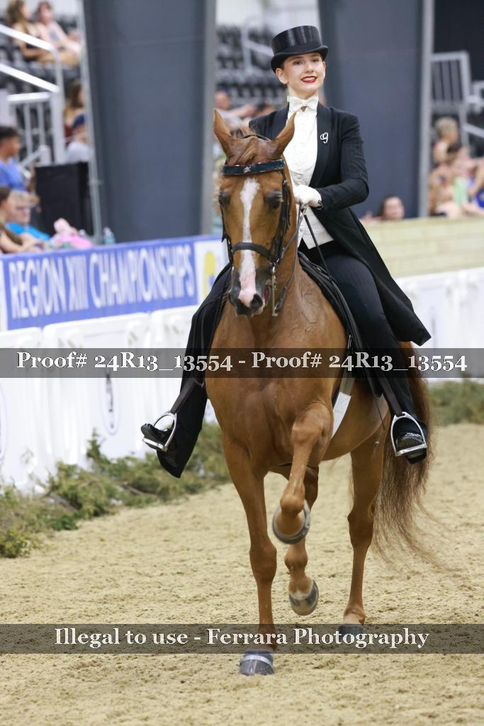 Proof Number 24R13_13554