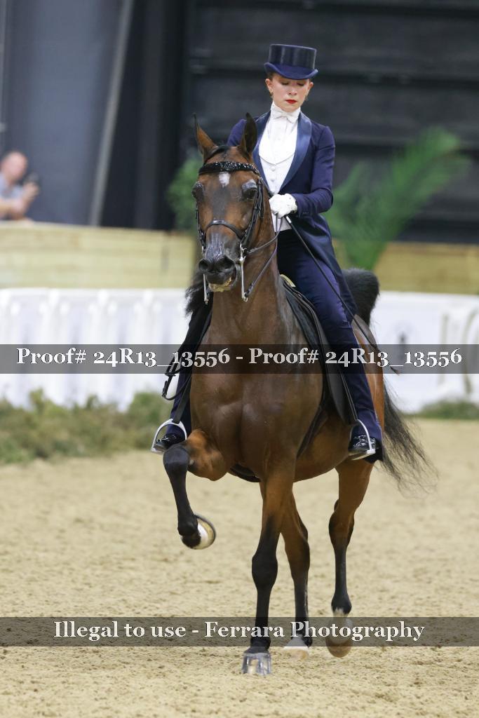 Proof Number 24R13_13556