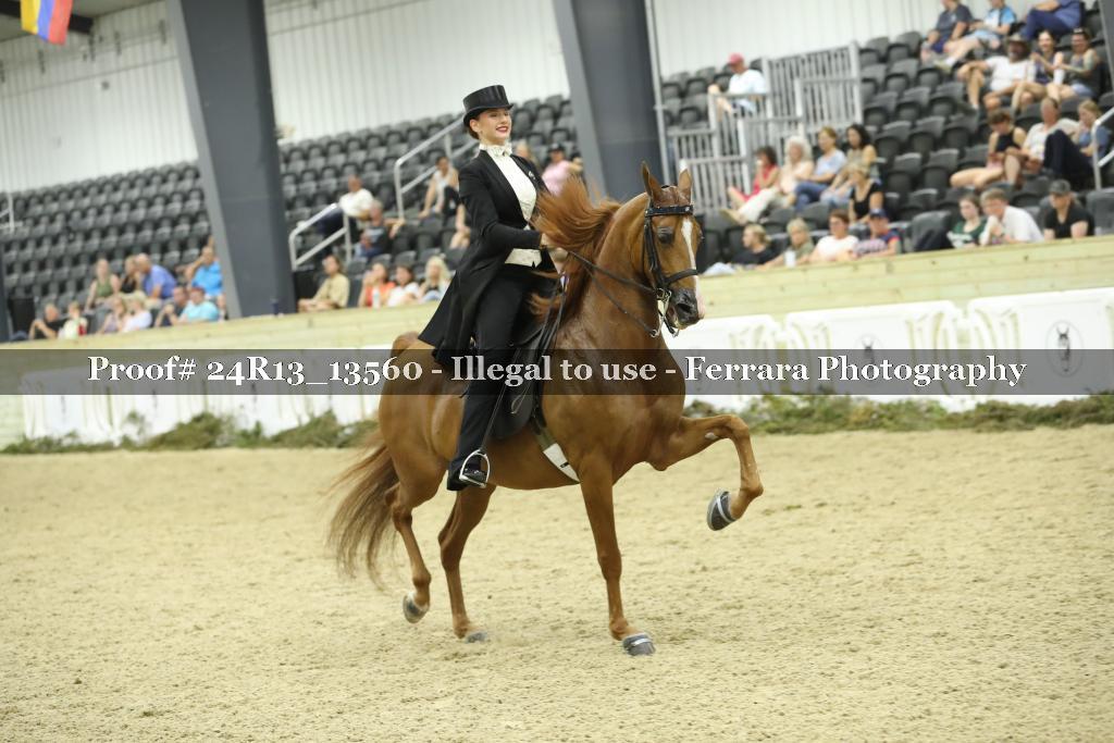Proof Number 24R13_13560