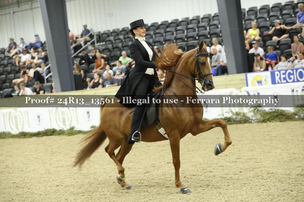 Proof Number 24R13_13561