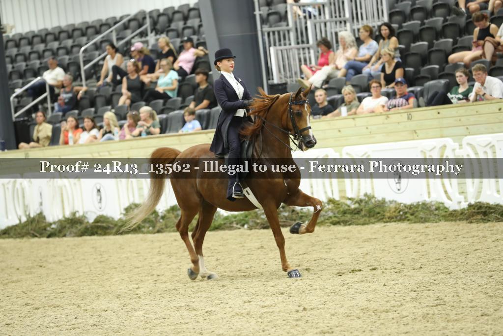 Proof Number 24R13_13562