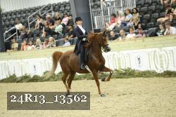 24R13_13562 thumbnail
