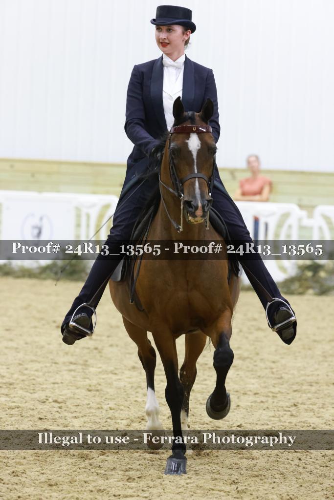 Proof Number 24R13_13565