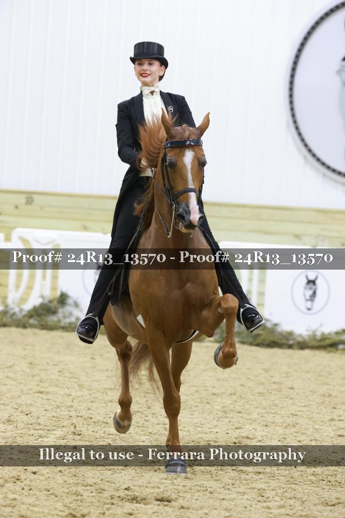 Proof Number 24R13_13570
