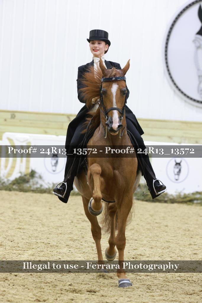Proof Number 24R13_13572