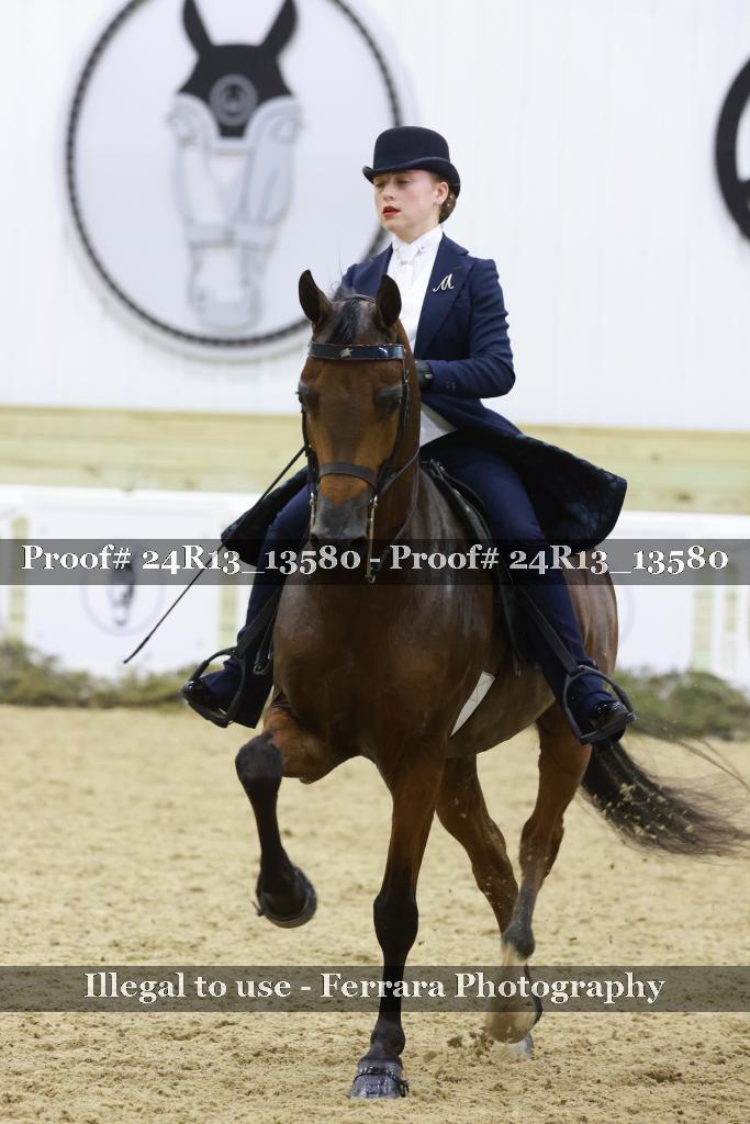 Proof Number 24R13_13580