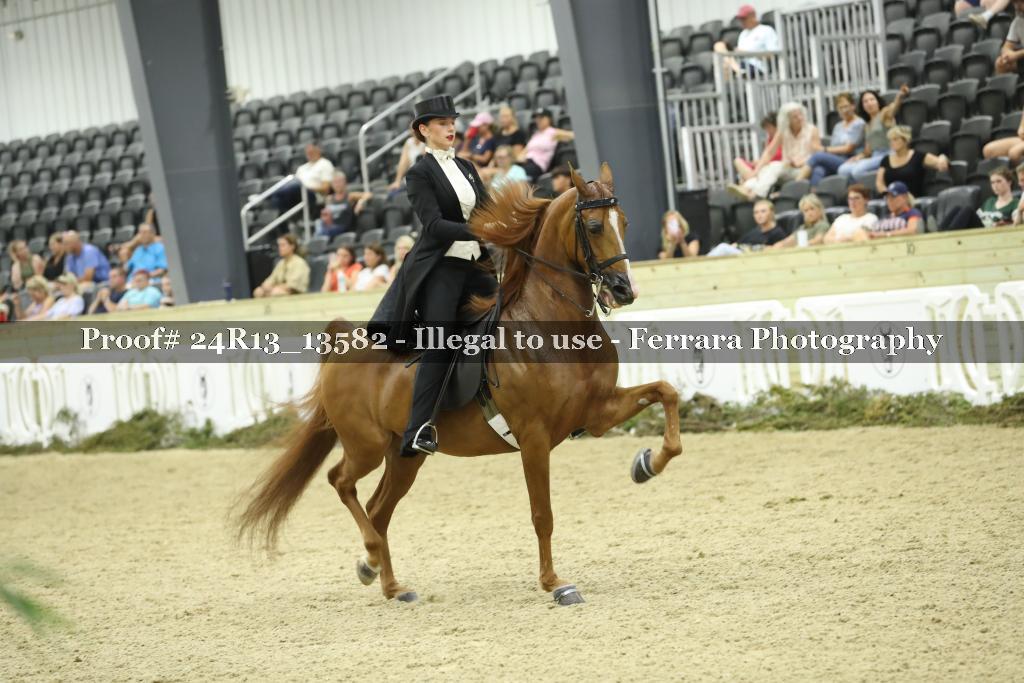 Proof Number 24R13_13582