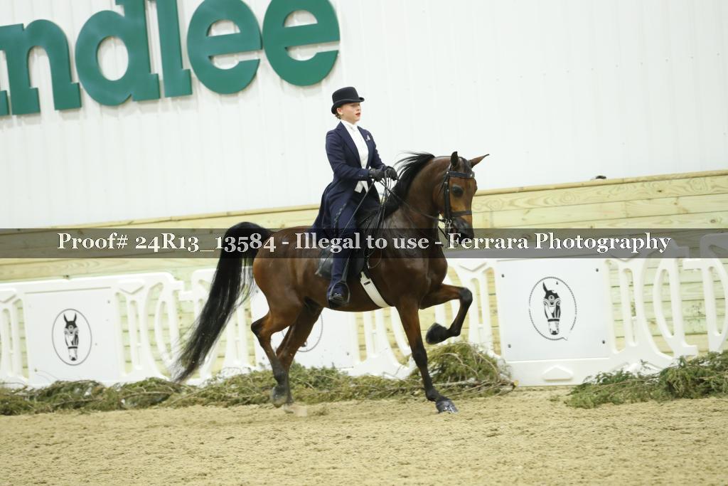 Proof Number 24R13_13584