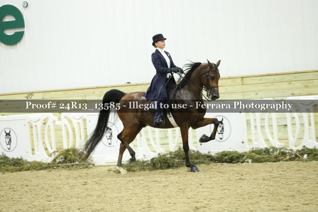 Proof Number 24R13_13585