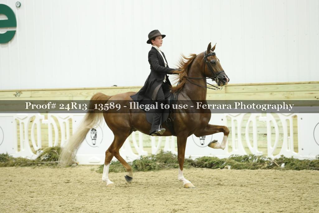 Proof Number 24R13_13589