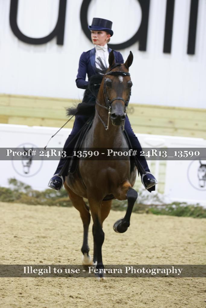Proof Number 24R13_13590