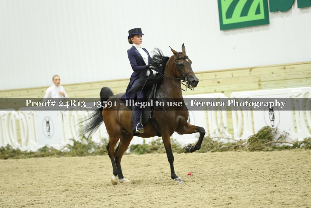 Proof Number 24R13_13591