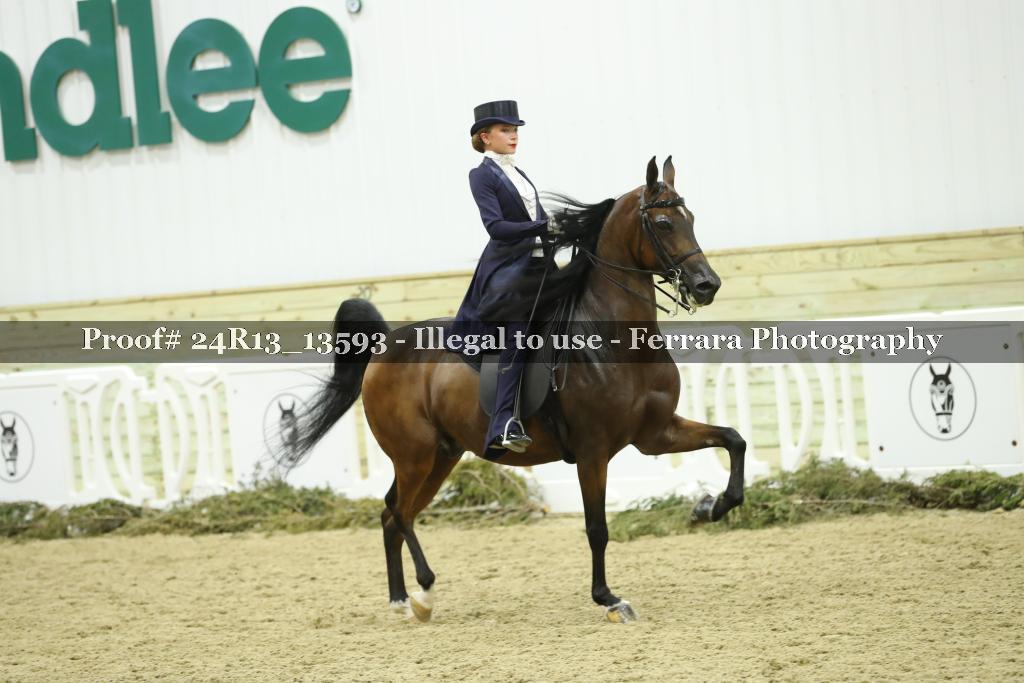 Proof Number 24R13_13593