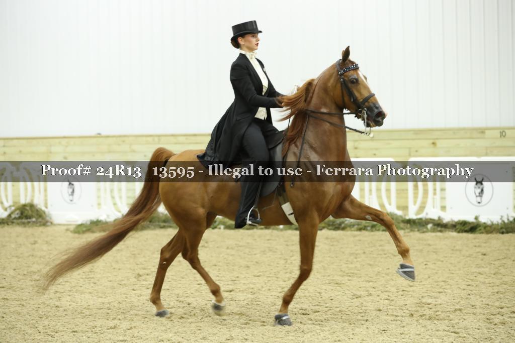 Proof Number 24R13_13595