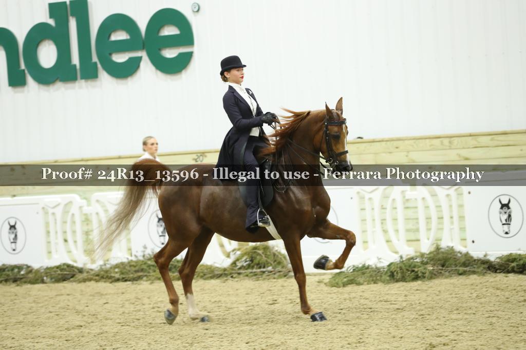 Proof Number 24R13_13596