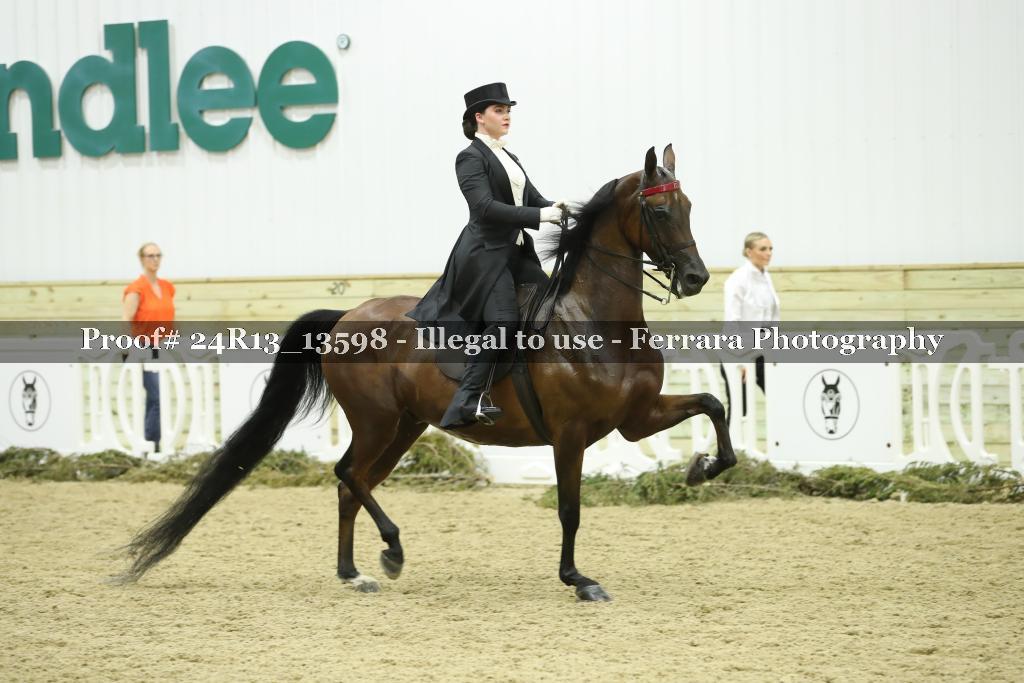 Proof Number 24R13_13598