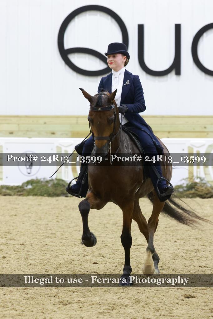 Proof Number 24R13_13599