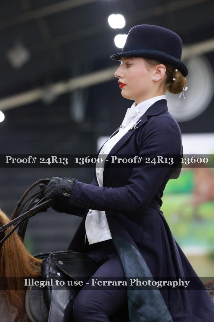 Proof Number 24R13_13600