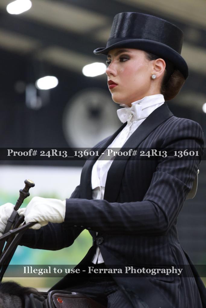 Proof Number 24R13_13601