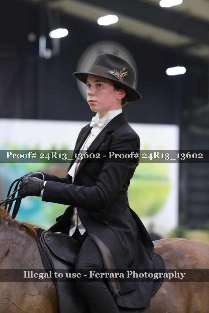 Proof Number 24R13_13602