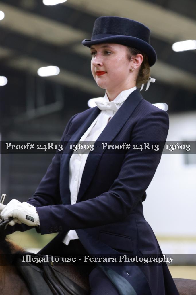 Proof Number 24R13_13603