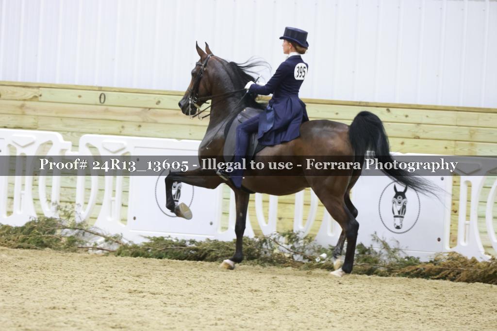 Proof Number 24R13_13605