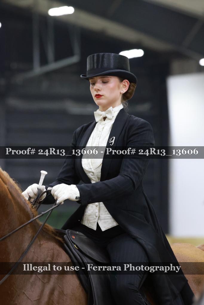 Proof Number 24R13_13606