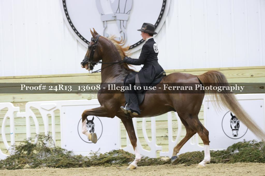 Proof Number 24R13_13608