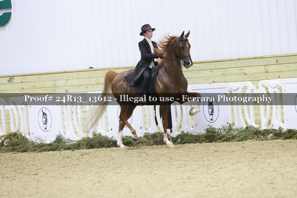 Proof Number 24R13_13612