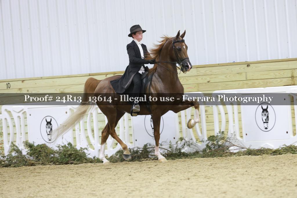 Proof Number 24R13_13614
