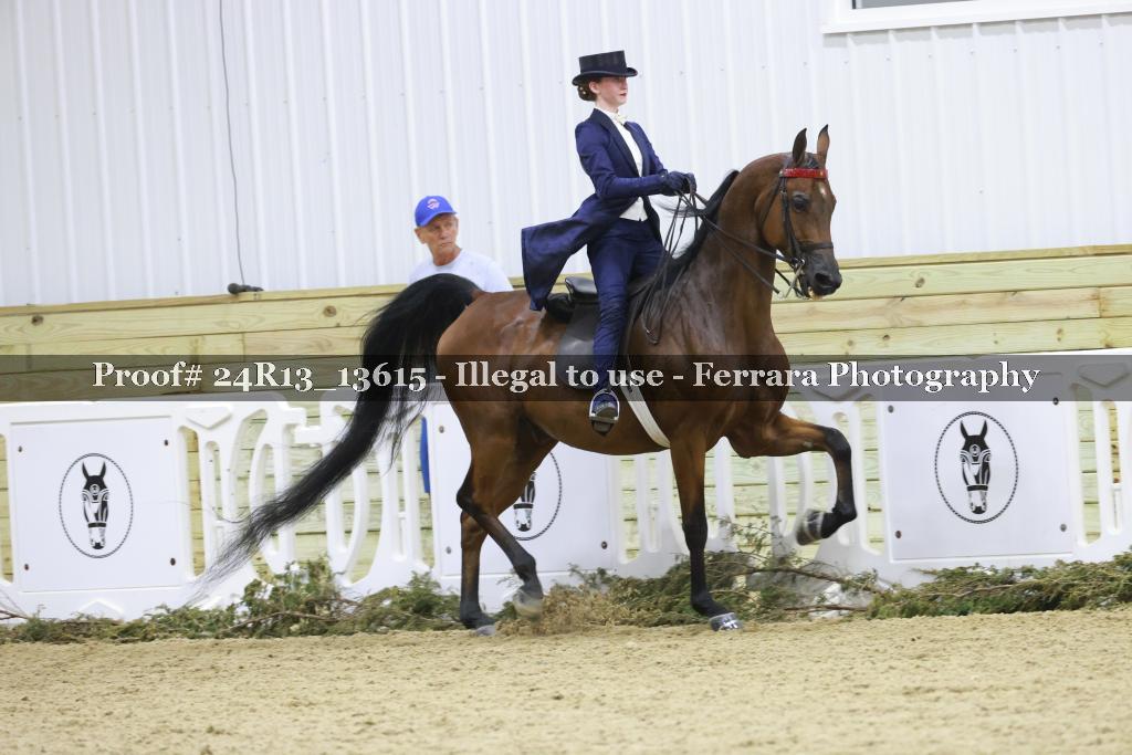 Proof Number 24R13_13615