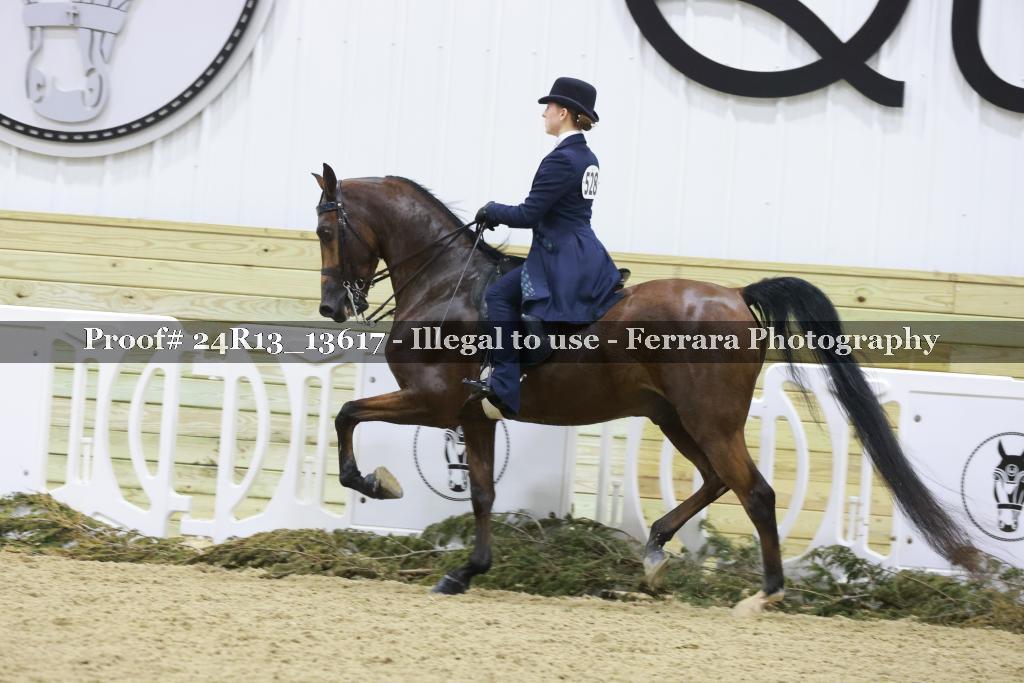 Proof Number 24R13_13617