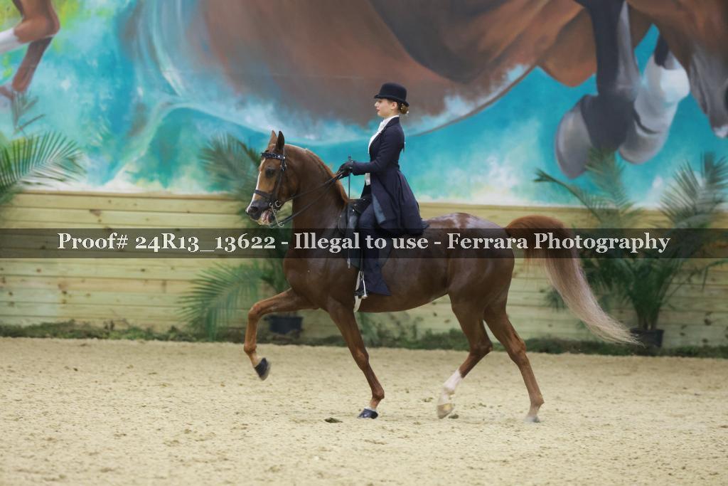 Proof Number 24R13_13622