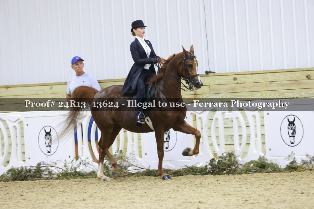 Proof Number 24R13_13624