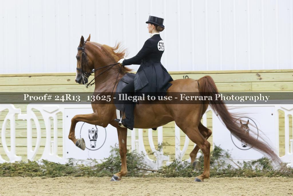 Proof Number 24R13_13625
