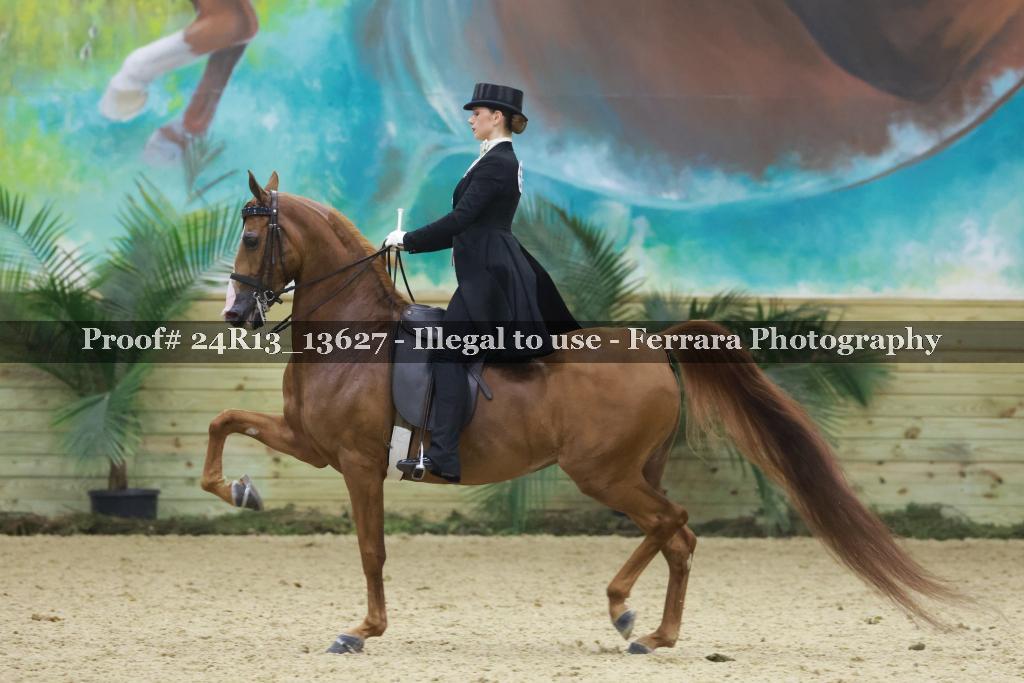 Proof Number 24R13_13627